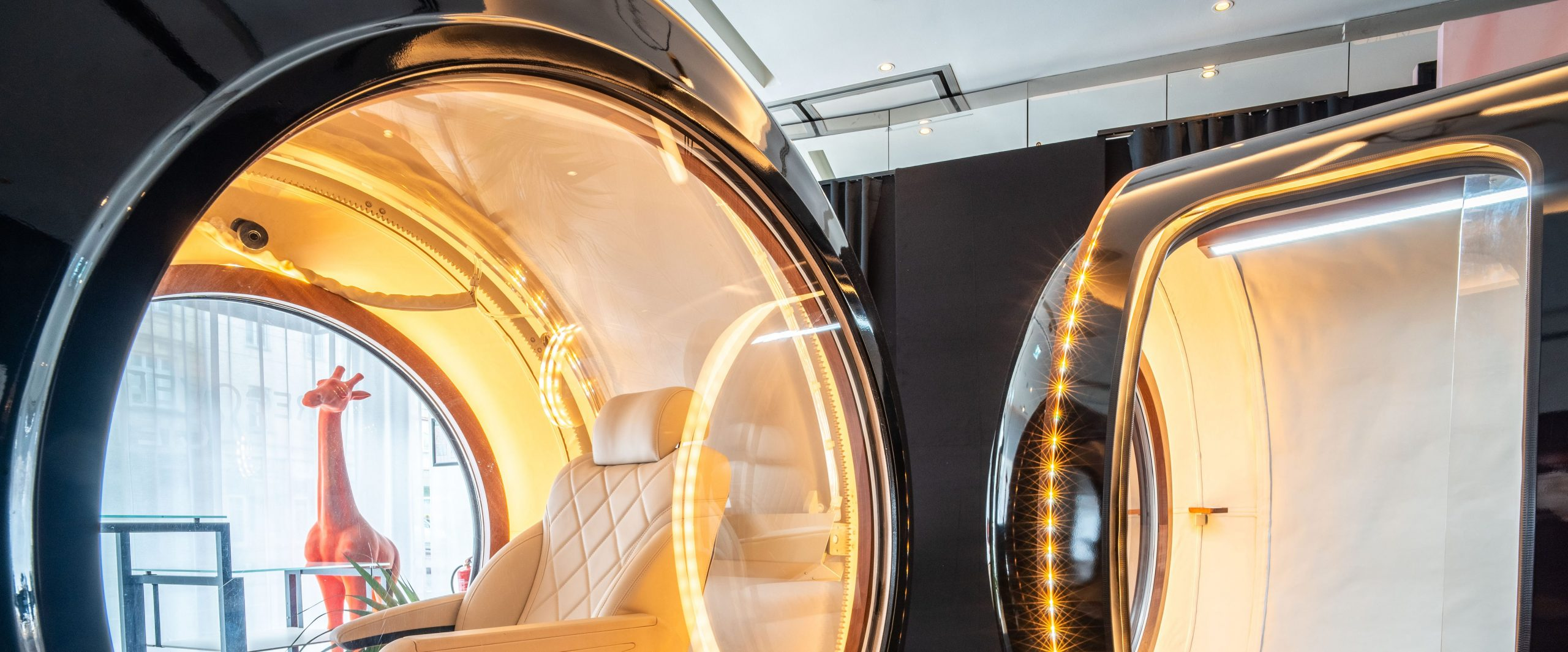 Specialization Image